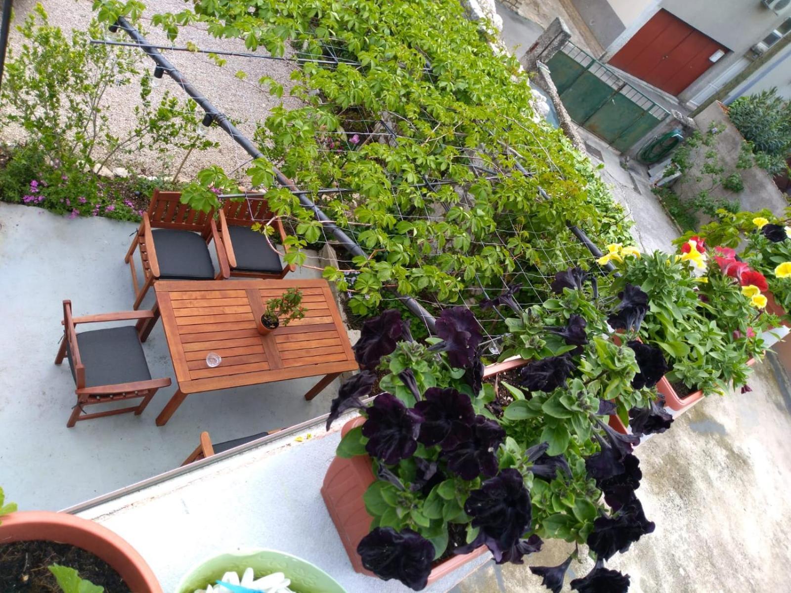Green Oasis City Center Apartment Szybenik Zewnętrze zdjęcie